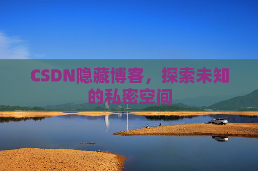 CSDN隐藏博客，探索未知的私密空间